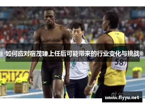 如何应对宿茂臻上任后可能带来的行业变化与挑战 如何应对宿茂臻上任后可能带来的行业变化与挑战