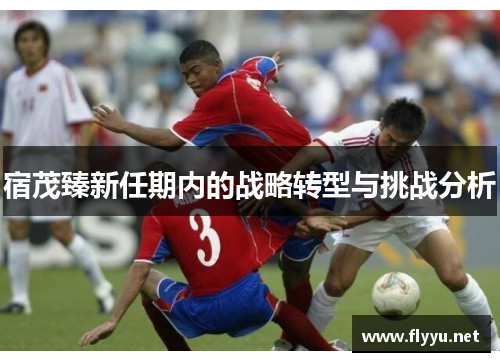 宿茂臻新任期内的战略转型与挑战分析 宿茂臻新任期内的战略转型与挑战分析