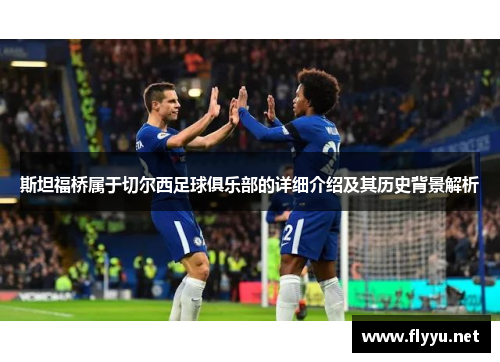 斯坦福桥属于切尔西足球俱乐部的详细介绍及其历史背景解析 斯坦福桥属于切尔西足球俱乐部的详细介绍及其历史背景解析