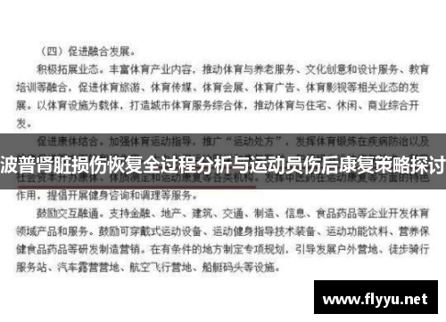 波普肾脏损伤恢复全过程分析与运动员伤后康复策略探讨 波普肾脏损伤恢复全过程分析与运动员伤后康复策略探讨