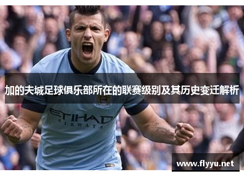 加的夫城足球俱乐部所在的联赛级别及其历史变迁解析